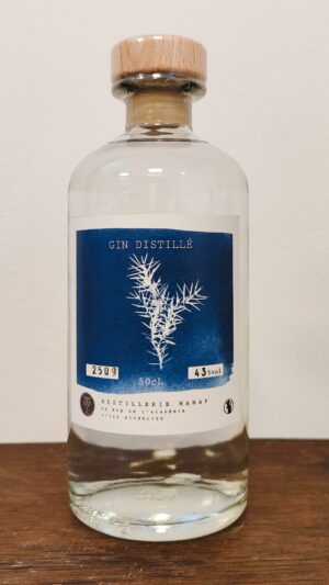Gin
